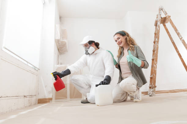 Hicksville, OH Mold Inspection, Removal & Remediation Company